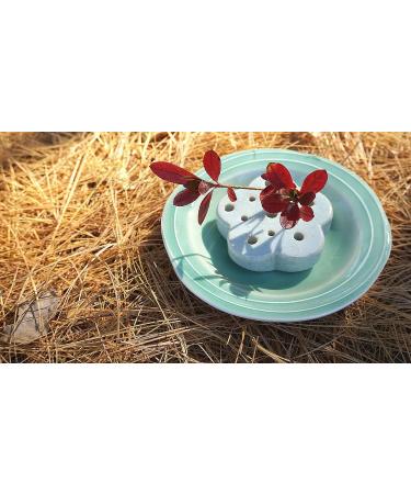 Eco-Friendly Lotus Shaped Clay Floral Holder for Happy and Wealthy Floral Arrangements - White, 2.76 inches - Buy Online on GoSupps.com