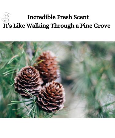 Lightfoot's Pine Soap for Men - All Natural Pine Scented Set of 4 Bars | Athletic Body & Hand Soap Gift Box - Buy Online on GoSupps.com