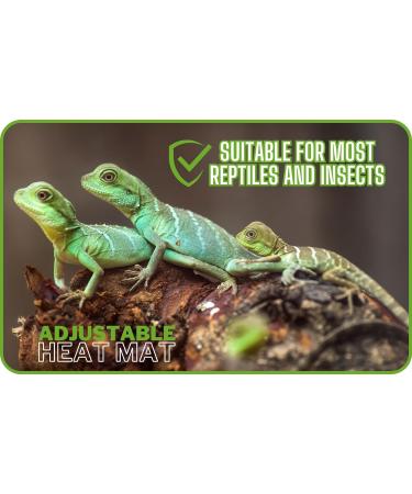 Finest-Filters Reptile Heating Mat Under Tank Terrarium Reptile Heat Pad with Temperature Control Adjustable Reptile Heat Mat for Lizard Turtle Tortoise Snake Gecko etc (30w (20" x 12")) - Buy Online on GoSupps.com