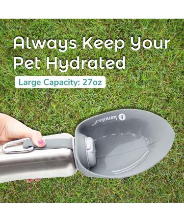 Buy Lumoleaf 800ml Stainless Steel Dog Drinking Bottle - Portable Pet Water Dispenser for Hiking & Camping (Gray) - Buy Online on GoSupps.com