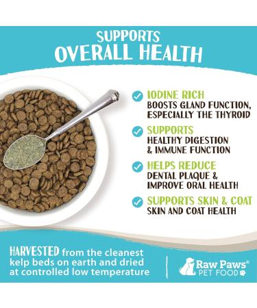 Raw Paws Organic Kelp for Dogs & Cats - 8oz Iodine-Rich Seaweed Powder Supplement for Thyroid Digestive & Immune Health - Buy Online on GoSupps.com