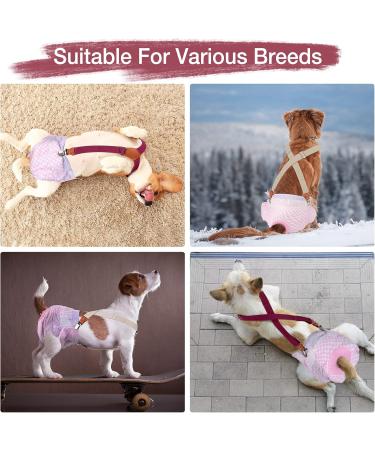 Soft Dog Diaper Trousers - 2 Pack | Comfortable Harness & Braces for Puppies | Pet Clothing in Beige-Wine M - Buy Online on GoSupps.com