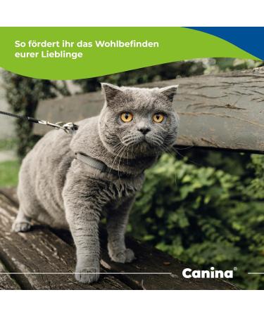 Canina Organic Coconut Oil 200g - Buy Online on GoSupps.com