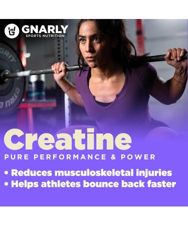 Gnarly Nutrition Creatine Powder - Vegan Creapure NSF Certified 5g Creatine Monohydrate for Optimal Recovery & Sports Nutrition (15.87oz - Buy Online on GoSupps.com