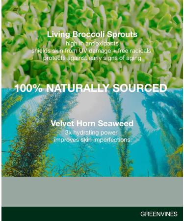 Greenvines Luminosity Anti-Aging Serum | Hydrated Skin Solution | Smooth & Radiant | Sensitive/Damaged Skin | 1 Fl oz - Buy Online on GoSupps.com