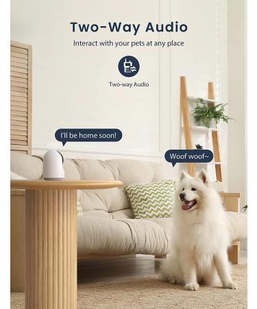 GNCC Pet Camera with Night Vision, 2-Way Audio, Smart Detection, and Remote Control for Baby & Pet Monitoring - WiFi Indoor Camera for Security - SD&Cloud Storage - P1 - Buy Online on GoSupps.com