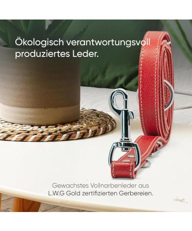 Freudiertier Spicy Red Leather Dog Leash - Adjustable Stylish & Robust | Amstelpark Collection 20mm Wide Made in Holland - Buy Online on GoSupps.com