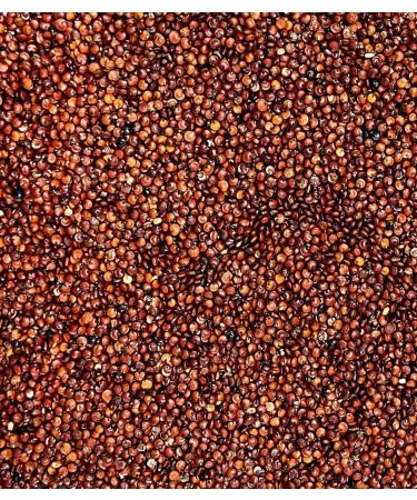 Sabarot - Red quinoa - Bag 1 kg - Buy Online on GoSupps.com
