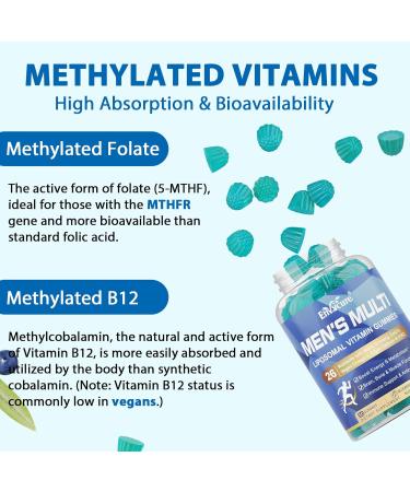 EnvyCure Multivitamin for Men 2PACK + Magnesium Gummies 2PACK - Buy Online on GoSupps.com