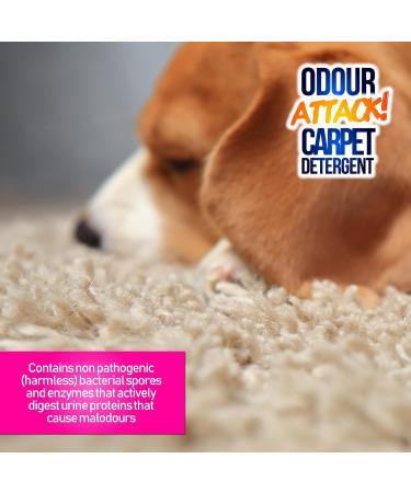 Pro-Kleen Odour Attack! Pet Carpet Cleaner Enzyme Shampoo 5L Citrus - Urine Cleaner with Active Enzymes to Eliminate Urine Faeces & Vomit Stains From Dogs Cats Humans All Carpet Types - Buy Online on GoSupps.com