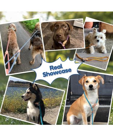 Durable 1.4cm x 150cm Pink Reflective Slip Lead Dog Leash | Adjustable Anti-Choking Training Rope for Small Medium Large Dogs and Cats | Grand Line Slip Lead - Buy Online on GoSupps.com
