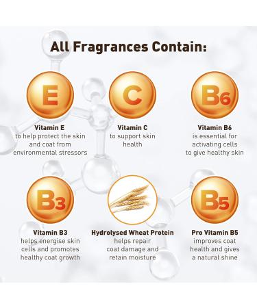 LSW Pet Design Deodorizing Pet Spray - Fragrance Free - Pet Deodorizer with Vitamin E C B6 B3 & B5 - Odor Control & Neutralizing Deodorant Spray - Replenishes Skin & Coat - Made In UK - 270ml Fragrance Free 270ml - Buy Online on GoSupps.com