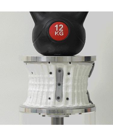 Decompression Back Belt for Pain Relief 2024 | One-Touch Back Support Brace & Posture Corrector | Disk Dr. WG50 G2 - Upgraded Double Belt M/L - Buy Online on GoSupps.com
