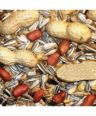 Squirrel Mixture 200g Premium Wild Life Food Garden Seed Feed SLW