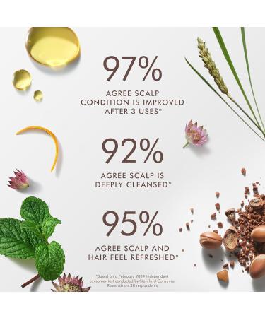 Moroccanoil Gommage purifiant avant lavage pour cuir chevelu - Buy Online on GoSupps.com