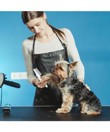 Blmhtwo 2-Piece Flea Comb for Cats & Dogs - Professional Fine-Toothed Pet Care Comb for Flea Tick and Stain Removal - Buy Online on GoSupps.com