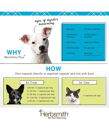 Herbsmith Microflora Plus Cat Digestive Aid - 30 Capsules | Prebiotics & Probiotics for Cat Diarrhea - Buy Online on GoSupps.com