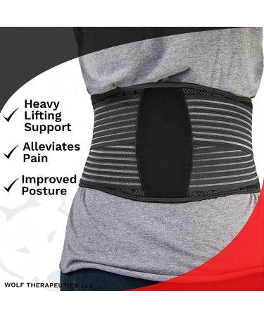 Dr. Wolf Lumbar Support Belt for Lower Back Pain Relief - Stabilizing Waist Brace for Improved Posture & Heavy Lifting - X-Large Size - Buy Online on GoSupps.com