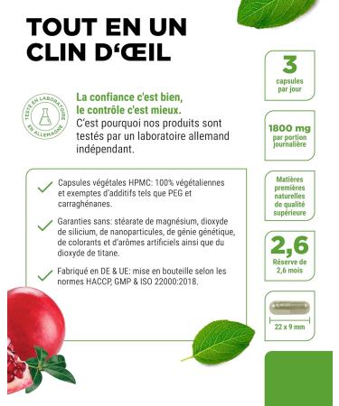 Pomegranate Extract - 240 Vegan Capsules - Premium Natural Extract with 40% Ellagic Acid - High Dosed - Vegan - Buy Online on GoSupps.com