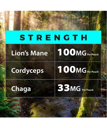 Fully Loaded Alpha Mushroom Pouches - Adaptogen Nootropic Pouches (5-Pack Vanilla) - Lion's Mane Cordyceps & Chaga - 5 cans 15 Pouches per can - Functional Mushrooms - Made in The USA Vanilla 0.42 Ounce (Pack of 5) - Buy Online on GoSupps.com