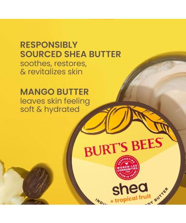 Burt's Bees Shea + Tropical Fruit Indulgent Hand and Body Butter - 11 Oz. - Buy Online on GoSupps.com