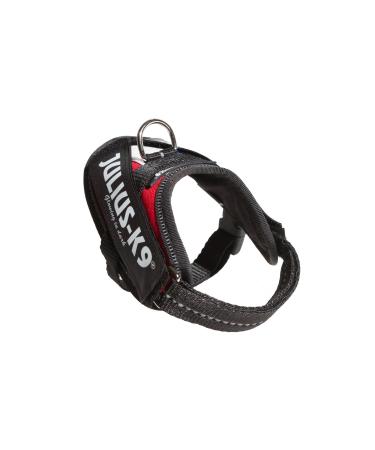 IDC Powerharness Size: 3XS/Baby 1 French Colors French Colors 3XS/Baby 1