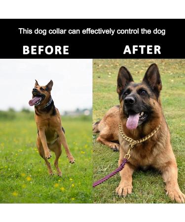 Gold Chain Slip Collar for Small, Medium, and Large Dogs - 18INCH - Buy Online on GoSupps.com