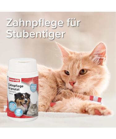 Beaphar Sea Algae Powder for Dogs & Cats - 100% Natural Dental Care - Fresh Breath & Muzzle Hygiene - 75g - Buy Online on GoSupps.com