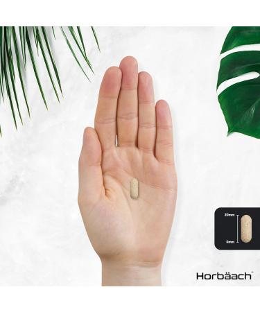 Boswellia Serrata Extract 4200mg | 65% Boswellic Acid | 120 Vegan Tablets | Joint Support & Anti-Inflammatory | Horbaach - Buy Online on GoSupps.com