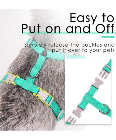 Thinkpet No-Pull Dog Harness & Leash Set - Breathable Adjustable Chest Harness for Small Medium & Large Dogs - Safe Reflective Running Harness (Green) - Buy Online on GoSupps.com