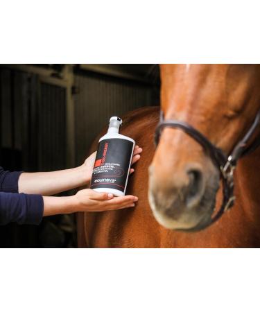 h veler equinova X Oil Energy 1 ltr - Buy Online on GoSupps.com
