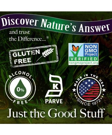 Echinacea Extract | Immune Support | Vegan, Gluten-Free, Non-GMO | 2oz - Nature's Answer - Buy Online on GoSupps.com