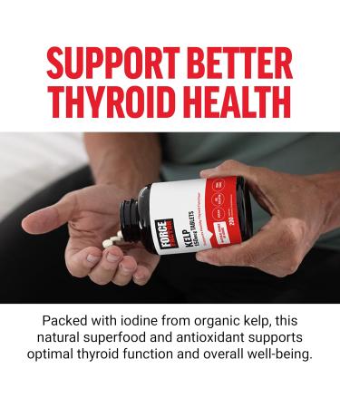 Force Factor Kelp for Iodine from Organic Kelp to Support Thyroid Health Strengthen Immunity and Digestion Vegan No Gelatin Non-GMO 150mcg 200 Tablets - Buy Online on GoSupps.com