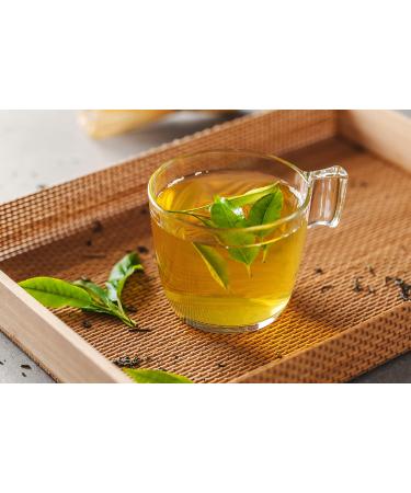 Ito En Oi Ocha Matcha Cold Brew Green Tea - Unsweetened Vegan & Gluten-Free (500ml Bottle) - International Shipping Available - Buy Online on GoSupps.com