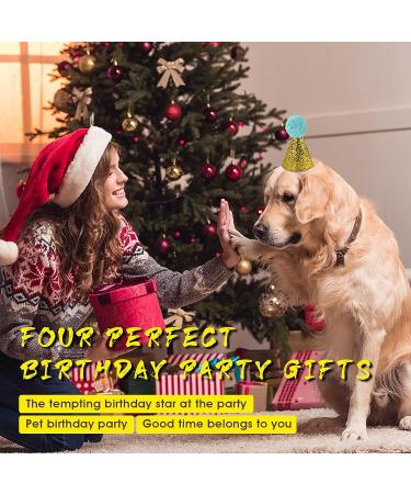 Molain Dog Birthday Hats 4 Pieces Dog Party Hats Party Decorations Accessories for Dog cat Headband hats red royal blue gold pink 11.5 x 7.5 cm - Buy Online on GoSupps.com