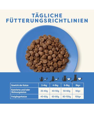 Applaws Complete Natural Dry Cat Food 350g - Ocean Fish & Salmon for Adults | Premium Quality International Shipping - Buy Online on GoSupps.com