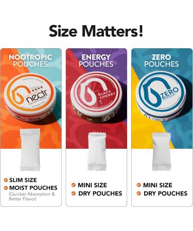 Nectr Energy Nootropic Pouches Fresh Mint Flavored Caffeine Pouches with Cognizin Citicoline. Nicotine-Free Sugar-Free Brain Treats. Smooth Sustained Focus & Energy Supplement - 5 Pucks of 16pcs Fresh Mint 5 Count (Pac  - Buy Online on GoSupps.com