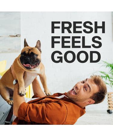 Whiffy Pet Odor Eliminator - Lemon Deodorizer for Dog or Cat Urine Smells on Carpet Furniture & Floors - 500ml - Buy Online on GoSupps.com