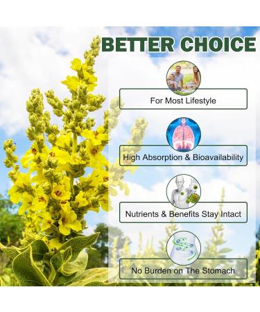 Mullein Gummies for Lungs 2000 MG(50:1 Extract) Mullein Leaf Extract for Lung Cleanse and Respiratory Support Natural Mullein Herbal Supplement Pear Flavor Gummies 60 Count 60 Count (Pack of 1) - Buy Online on GoSupps.com