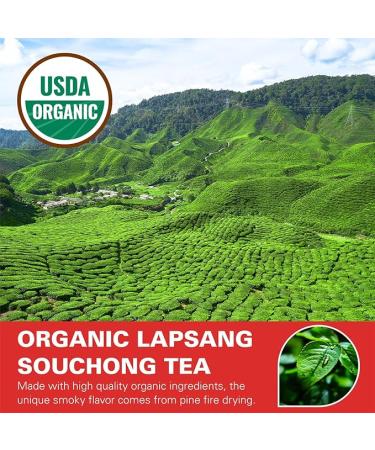 WT WEETEE Organic Lapsang Souchong Tea Bags, USDA Organic Smoky Black Tea 100 Count, Natural Caffeine & Antioxidant, Classic Chinese Tea - Buy Online on GoSupps.com