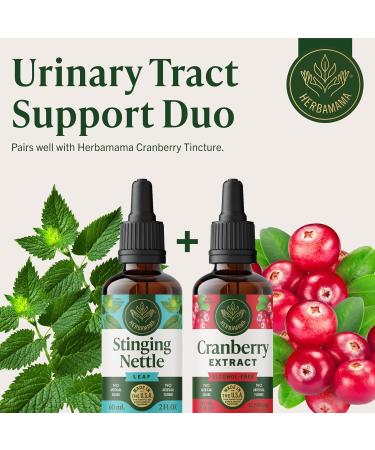 HERBAMAMA Stinging Nettle Tincture - Vegan Urinary Tract Support with Stinging Nettle Leaf Extract Drops - Non-GMO Alcohol & Sugar-Free Urtica Dioica Kidney Supplement 84-Day Supply 2 Fl Oz (Pack of 1) - Buy Online on GoSupps.com