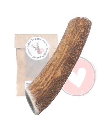 Fourles Natural Kausnack for dogs made of 100% deer antlers - with minerals cotton stuff dental care couch stick antlew bone deer chewing article - size M quite 1 piece (1 Pack) m (entirely) - Buy Online on GoSupps.com
