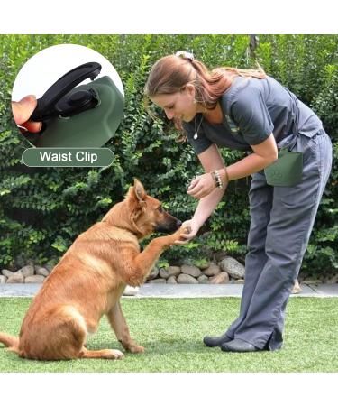 Silicone Dog Treat Pouch for Training & Walking | Portable Magnetic Closure & Waist Clip | Durable & Green with Carabiner - Buy Online on GoSupps.com