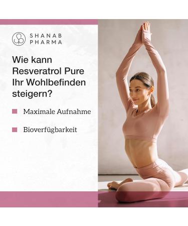 Buy Resveratrol Powder - Premium Japanese Knotweed Extract - 80g Micronized Powder by Shanab Pharma - International Shipping Available - Buy Online on GoSupps.com