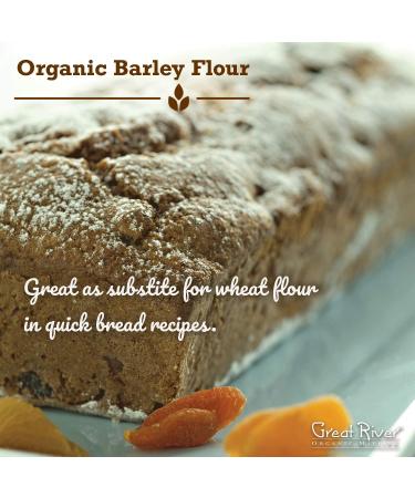 Great River Organic Milling Barley Flour Stone Ground Unbleached Unbromated Non-GMO Kosher High Fiber Pancakes - 400 Oz - Buy Online on GoSupps.com
