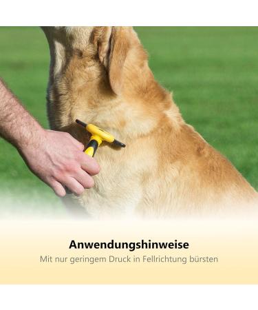 Thunderpaws Professional Fur Care Tool - De-Shedding Brush for All Dogs & Cats | D-Shedz for Short & Long Fur Small to Large Breeds - Green - Buy Online on GoSupps.com