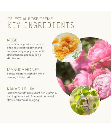 Natural Celestial Rose Creme | Clean Non-Toxic Plant-Based Skincare | 1.7 oz - Shop Internationally - Buy Online on GoSupps.com