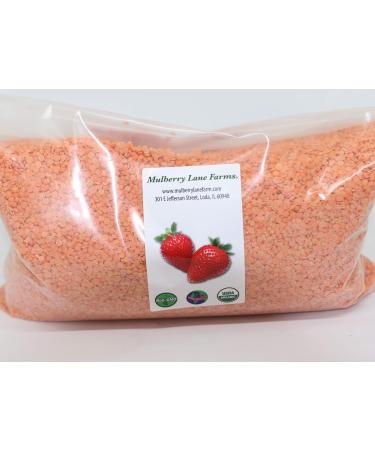 Red Lentils 5 Pounds USDA Certified Organic, Non-GMO Bulk, Product of USA, Mulberry Lane Farms