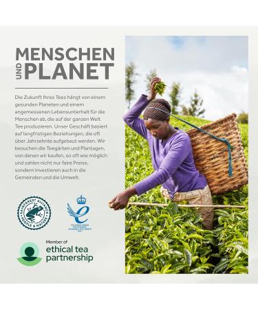 Buy Yorkshire Tea - Strong Black English Tea | 240 Bags | Refreshing & Sustainably Sourced - Buy Online on GoSupps.com