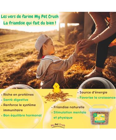 MPC - Dried Mealworms: A High Quality Protein Source for Wild Birds and Reptiles - Food Supplement - Buy Online on GoSupps.com